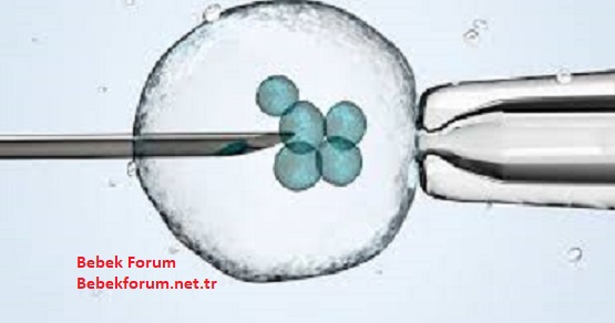 Tüp Bebek Kimlere Uygulanır - 37463746374637.jpg