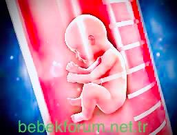 Tüp Bebek Nedir.jpg