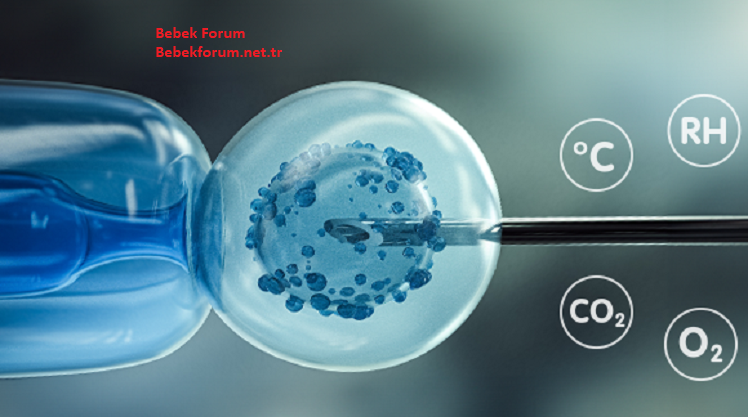 Tüp Bebek Tedavisi Nedir IVF-2732837293829348.png
