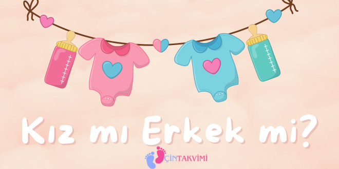 cintakvimi.net