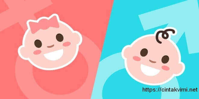 cintakvimi.net